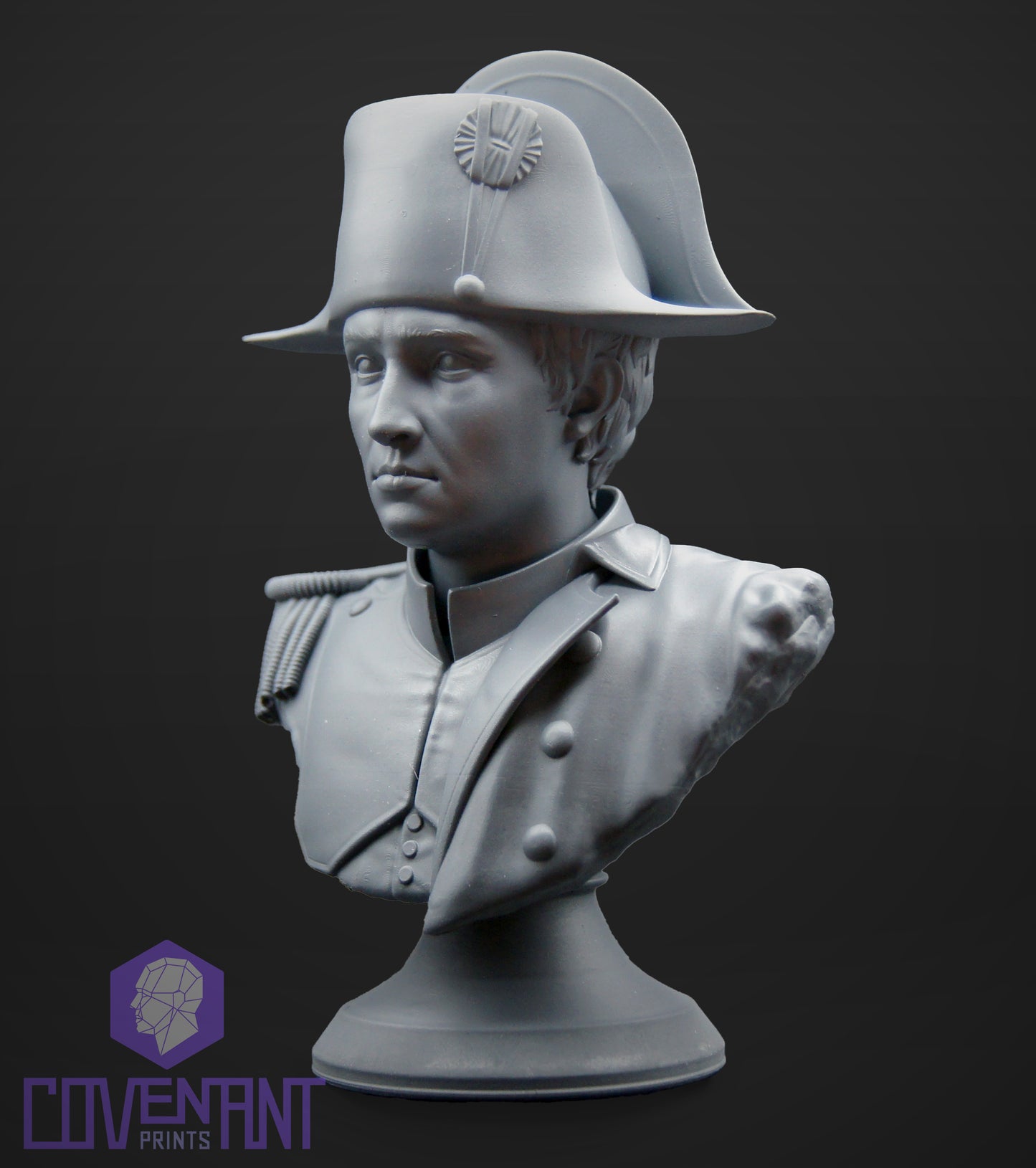 Napoleon Bust