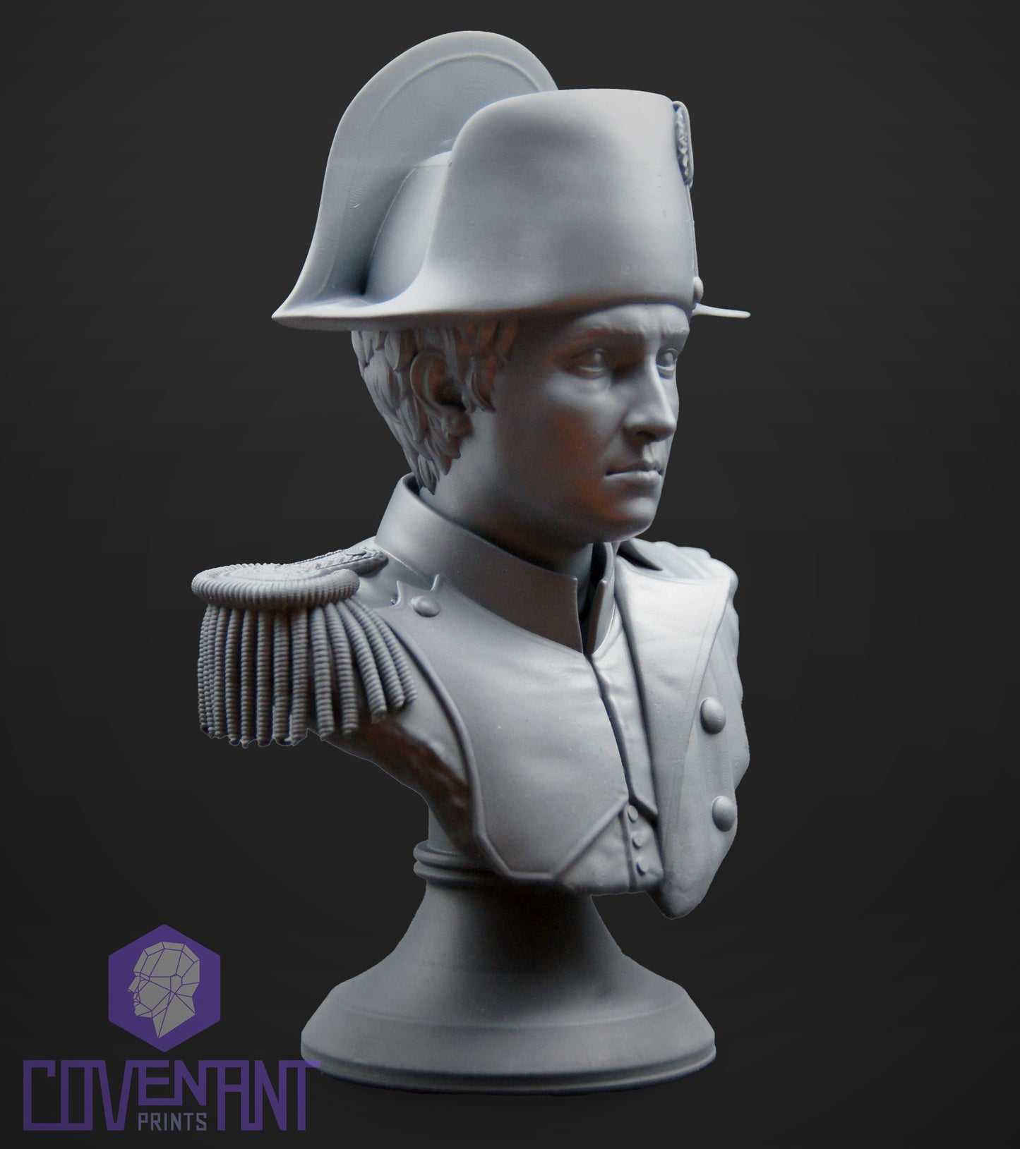 Napoleon Bust