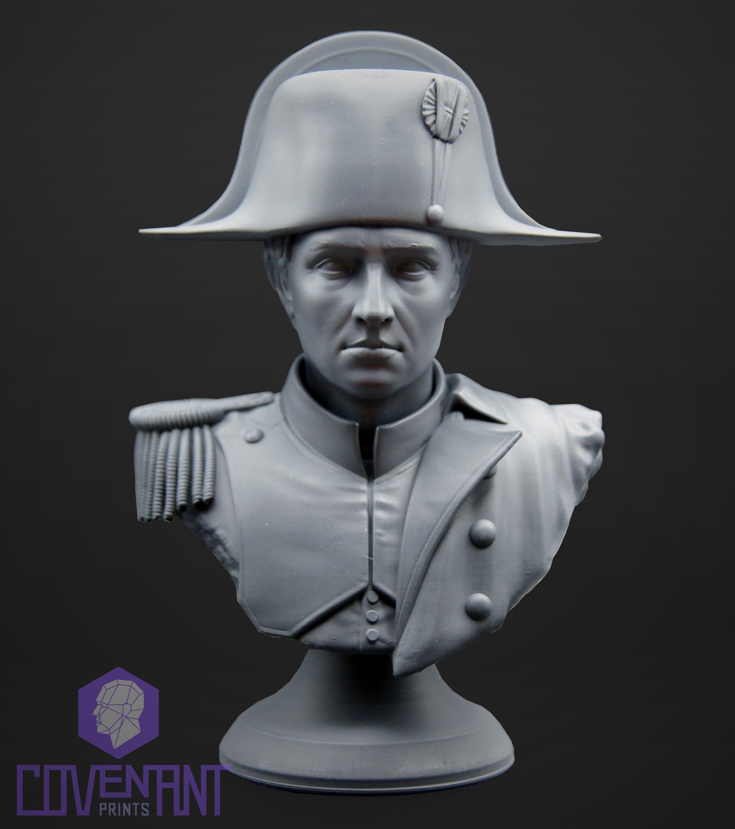 Napoleon Bust - With Variants