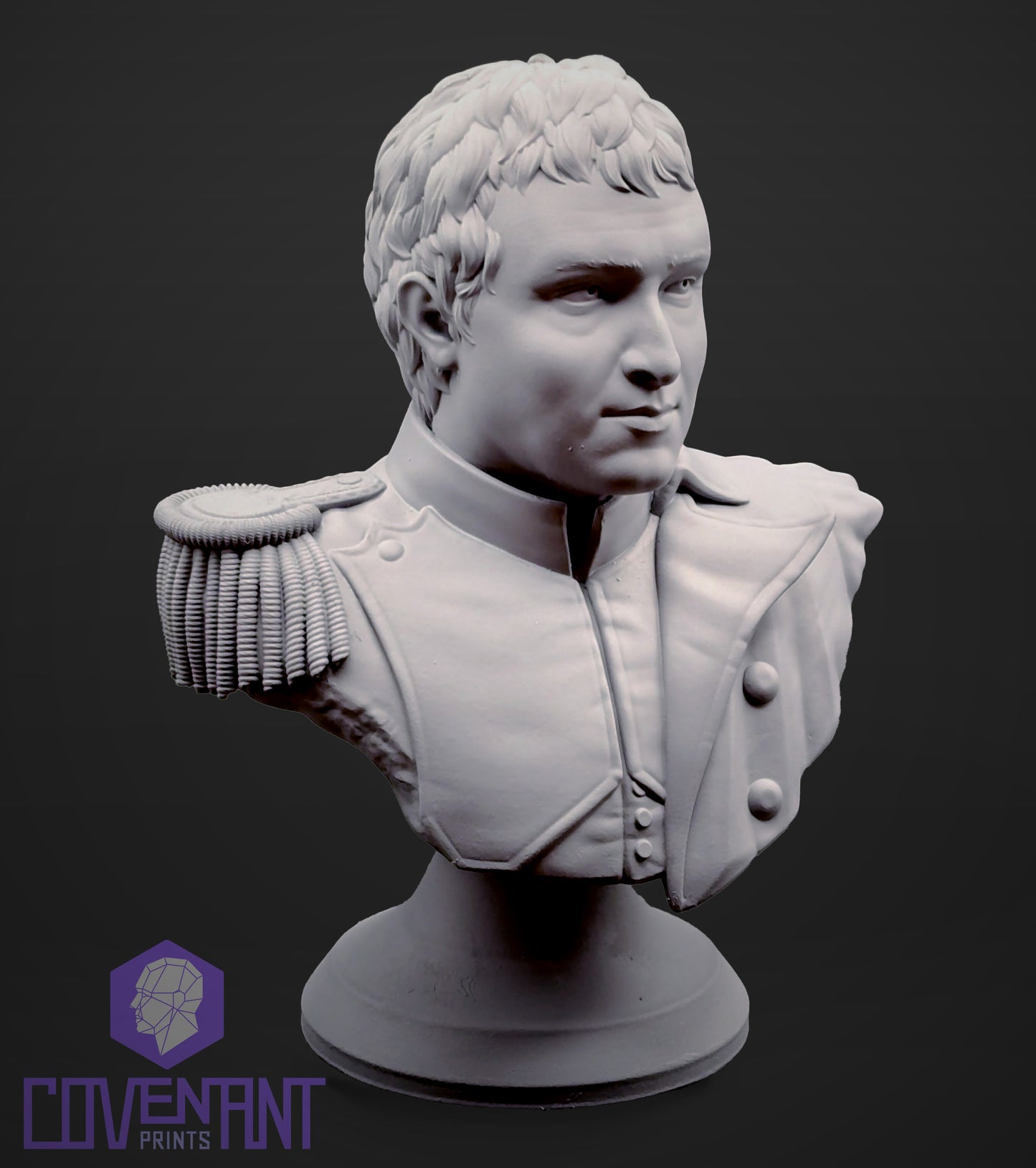 Napoleon Bust - With Variants