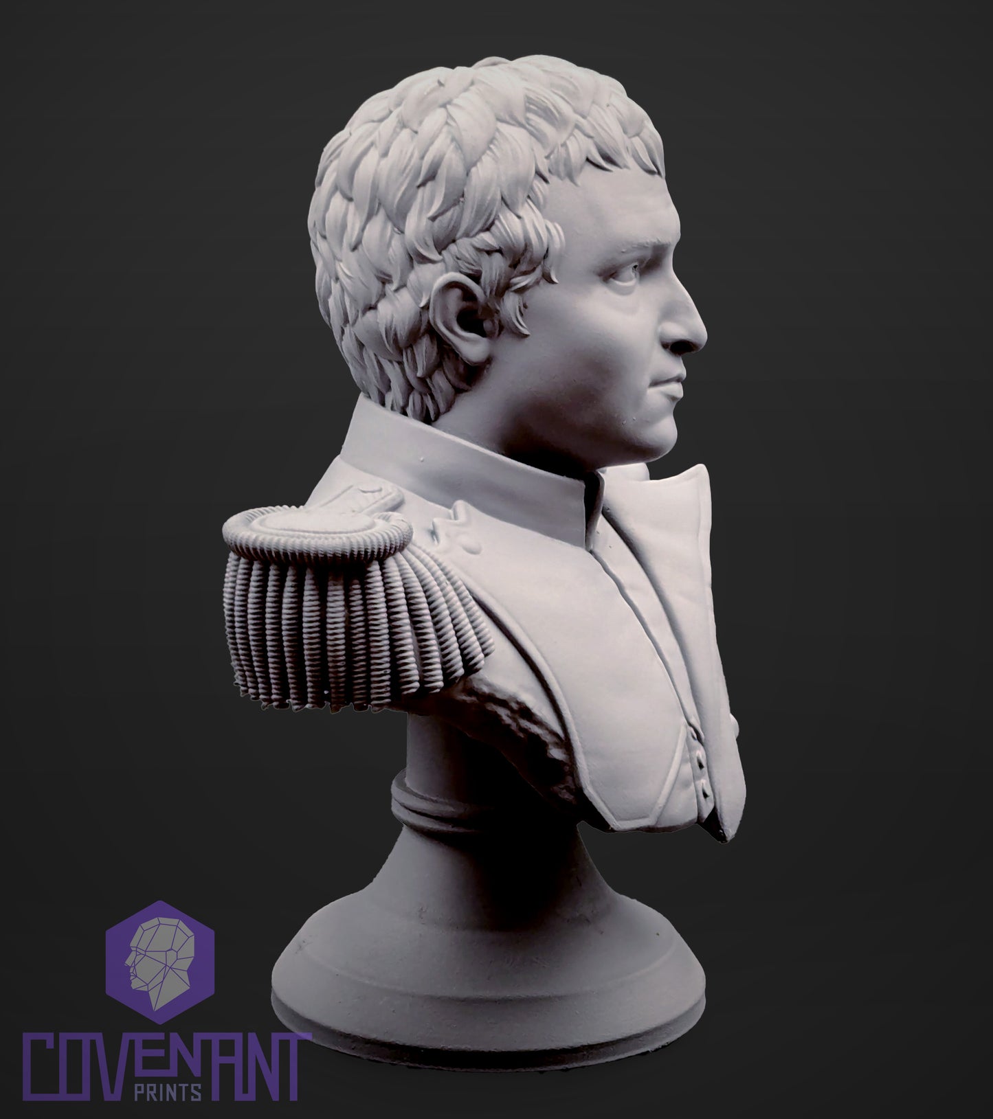 Napoleon Bust - With Variants